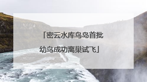 密云水库鸟岛首批幼鸟成功离巢试飞