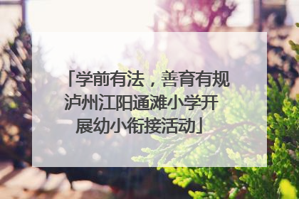 学前有法，善育有规 泸州江阳通滩小学开展幼小衔接活动