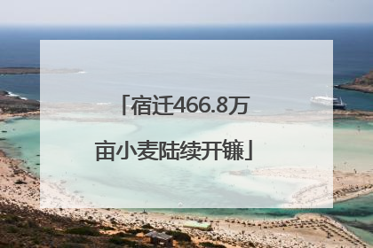 宿迁466.8万亩小麦陆续开镰