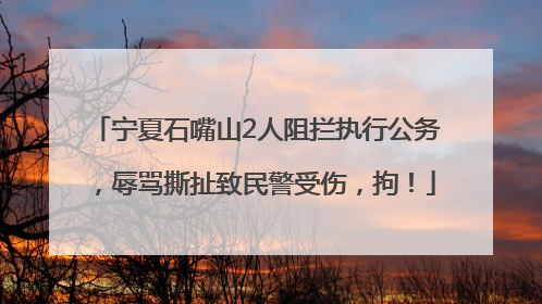 宁夏石嘴山2人阻拦执行公务，辱骂撕扯致民警受伤，拘！
