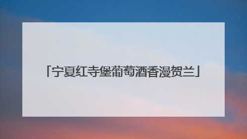 宁夏红寺堡葡萄酒香漫贺兰