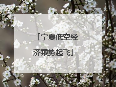 宁夏低空经济乘势起飞
