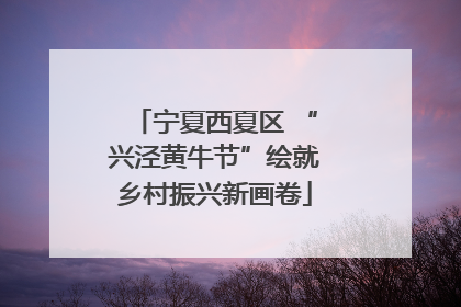 宁夏西夏区 “兴泾黄牛节”绘就乡村振兴新画卷