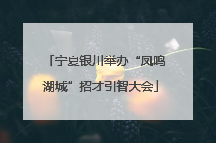 宁夏银川举办“凤鸣湖城”招才引智大会