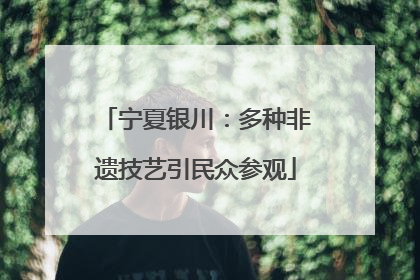 宁夏银川：多种非遗技艺引民众参观