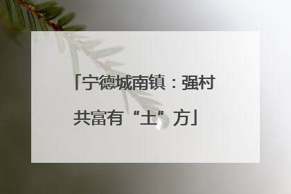 宁德城南镇：强村共富有“土”方