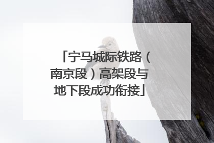 宁马城际铁路（南京段）高架段与地下段成功衔接