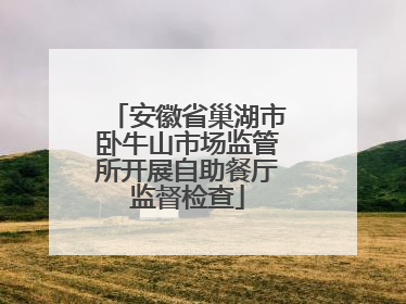 安徽省巢湖市卧牛山市场监管所开展自助餐厅监督检查