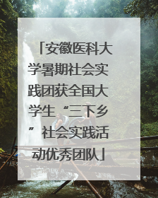 安徽医科大学暑期社会实践团获全国大学生“三下乡”社会实践活动优秀团队