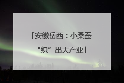 安徽岳西：小桑蚕“织”出大产业