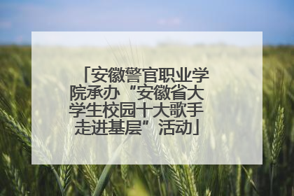 安徽警官职业学院承办“安徽省大学生校园十大歌手走进基层”活动