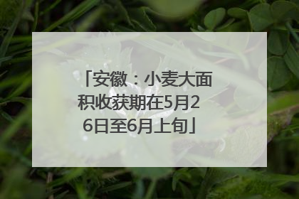 安徽：小麦大面积收获期在5月26日至6月上旬