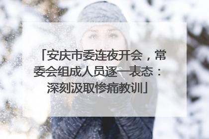 安庆市委连夜开会，常委会组成人员逐一表态：深刻汲取惨痛教训