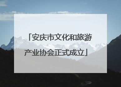 安庆市文化和旅游产业协会正式成立