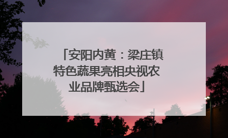 安阳内黄：梁庄镇特色蔬果亮相央视农业品牌甄选会