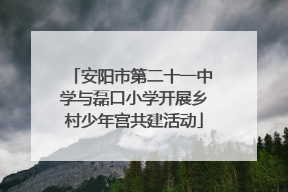 安阳市第二十一中学与磊口小学开展乡村少年宫共建活动