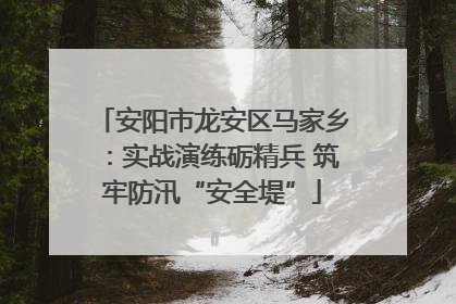 安阳市龙安区马家乡：实战演练砺精兵 筑牢防汛“安全堤”
