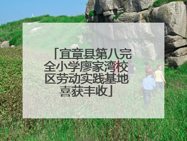 宜章县第八完全小学廖家湾校区劳动实践基地喜获丰收