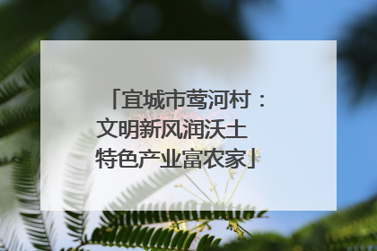 宜城市莺河村：文明新风润沃土 特色产业富农家
