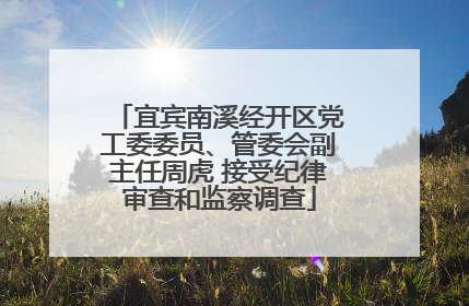 宜宾南溪经开区党工委委员、管委会副主任周虎 接受纪律审查和监察调查