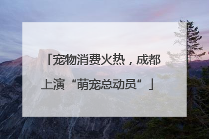 宠物消费火热，成都上演“萌宠总动员”