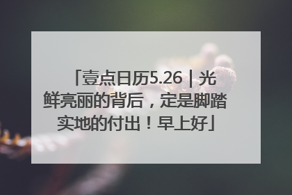 壹点日历5.26｜光鲜亮丽的背后，定是脚踏实地的付出！早上好