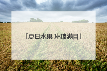 夏日水果 琳琅满目