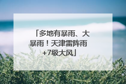 多地有暴雨、大暴雨！天津雷阵雨+7级大风