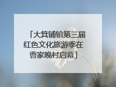 大箕铺镇第三届红色文化旅游季在曹家晚村启幕