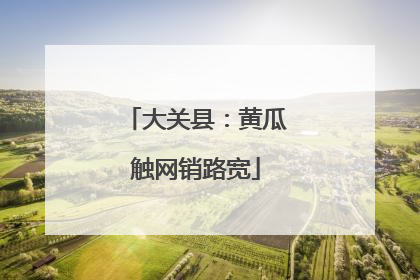 大关县：黄瓜触网销路宽