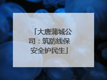 大唐蒲城公司：筑防线保安全护民生