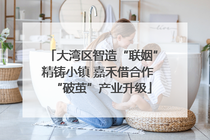 大湾区智造“联姻”精铸小镇 嘉禾借合作“破茧”产业升级