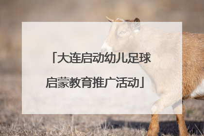 大连启动幼儿足球启蒙教育推广活动