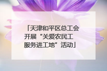 天津和平区总工会开展“关爱农民工 服务进工地”活动