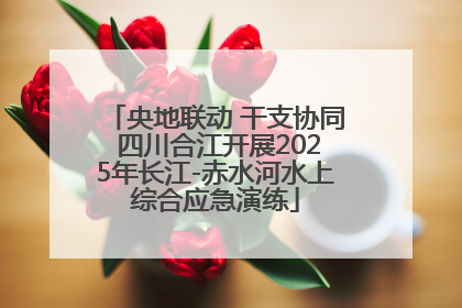 央地联动 干支协同 四川合江开展2025年长江-赤水河水上综合应急演练