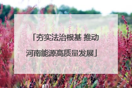 夯实法治根基 推动河南能源高质量发展