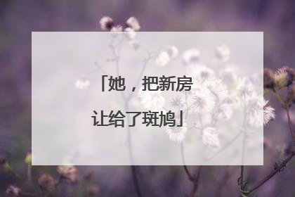 她，把新房让给了斑鸠
