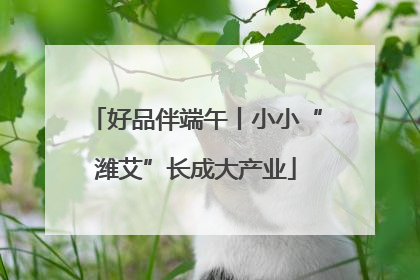 好品伴端午丨小小“潍艾”长成大产业