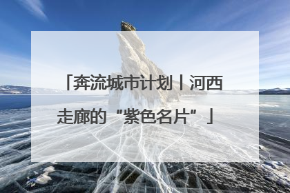 奔流城市计划丨河西走廊的“紫色名片”
