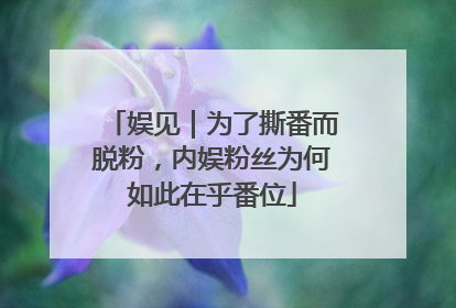 娱见｜为了撕番而脱粉，内娱粉丝为何如此在乎番位