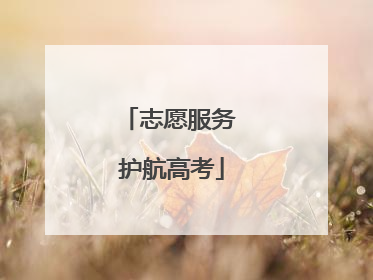 志愿服务 护航高考