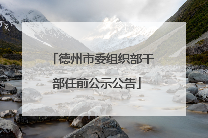 德州市委组织部干部任前公示公告