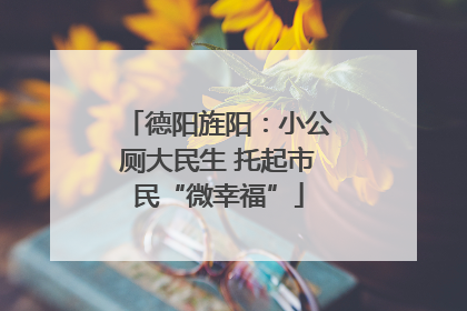 德阳旌阳：小公厕大民生 托起市民“微幸福”