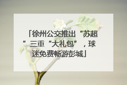 徐州公交推出“苏超”三重“大礼包”，球迷免费畅游彭城