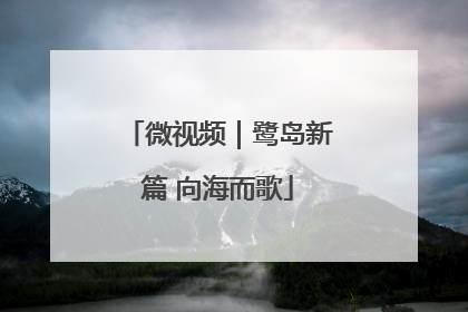 微视频｜鹭岛新篇 向海而歌