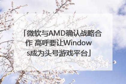微软与AMD确认战略合作 高呼要让Windows成为头号游戏平台