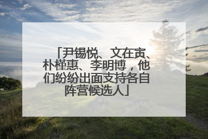 尹锡悦、文在寅、朴槿惠、李明博，他们纷纷出面支持各自阵营候选人