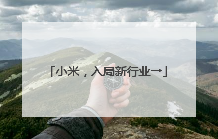 小米，入局新行业→