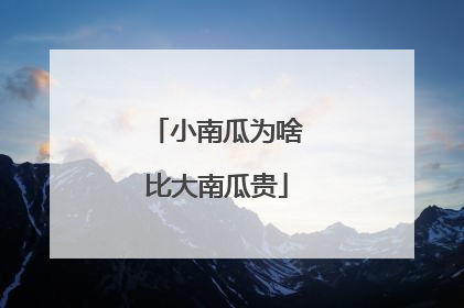 小南瓜为啥比大南瓜贵