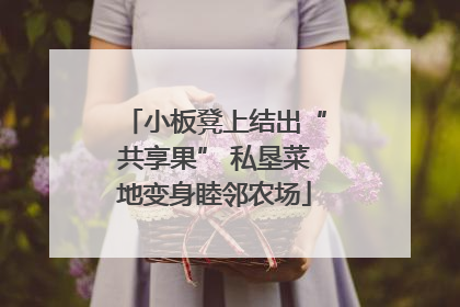 小板凳上结出“共享果” 私垦菜地变身睦邻农场
